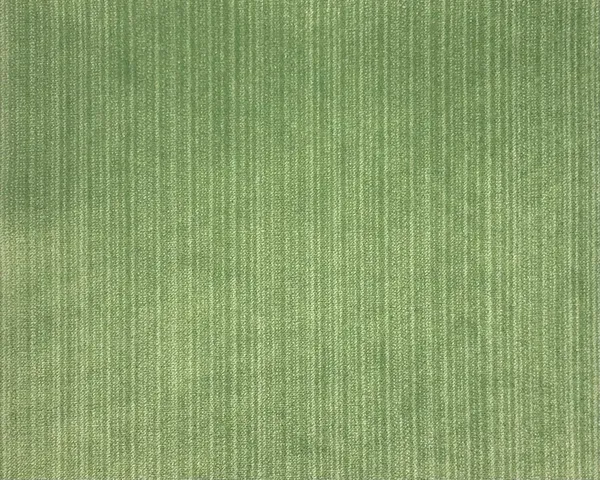 Jane Shelton, Spencer Spruce