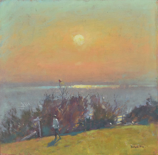 The Robin by Richard Price