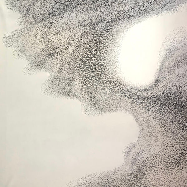 Murmuration by Lincoln Seligman