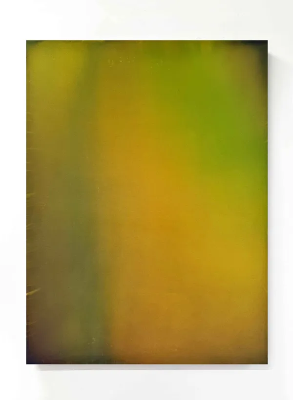 Kate Serebrianskaia, Things are changing but I am still here., 2026