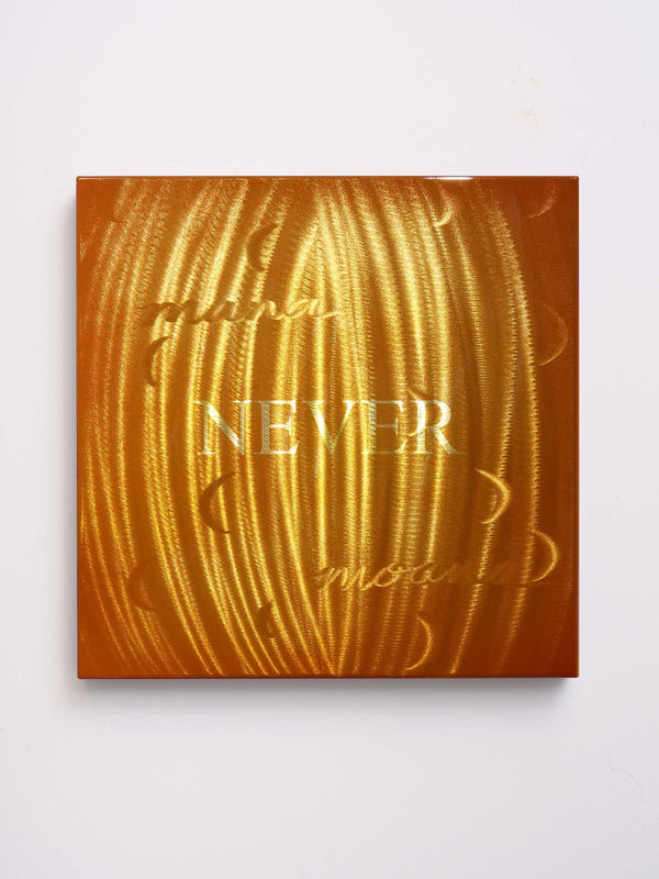 Israel Tangaroa Birch, Tino Rangatiratanga, 2024