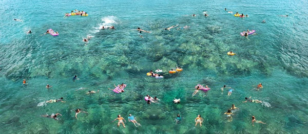 Cathy Carter, Napoli Bathers