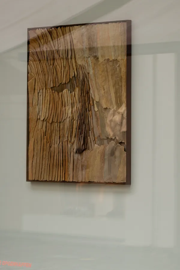 Jeanne Opgenhaffen, Desert Colors II