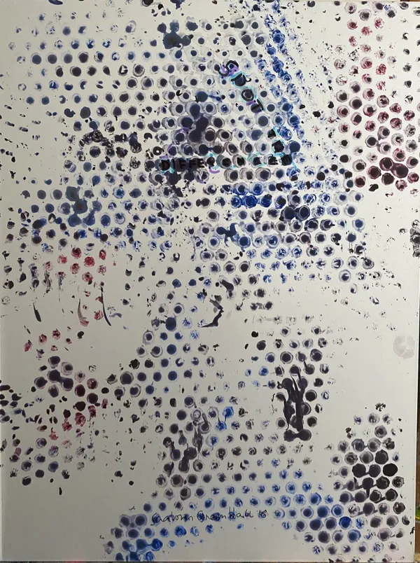 Francine Scialom Greenblatt, Spot the Difference, 2018