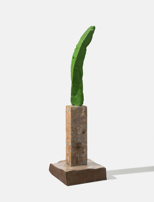 Pedro Paiva - Green Chilli Color