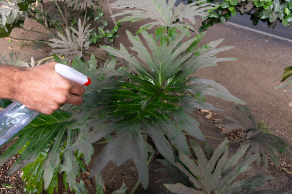 Adrien Missika - Day Spa