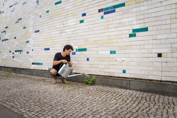 Adrien Missika - Weed Care (wall crack)