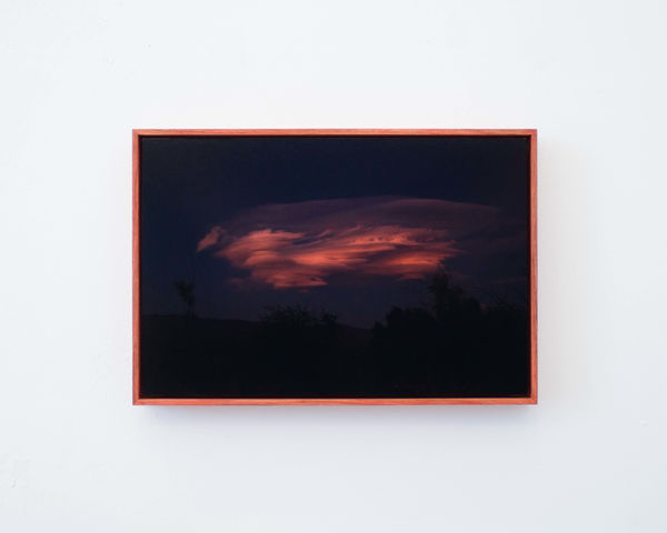 Lydia Hannah Debeer, Witness of Water, 2023