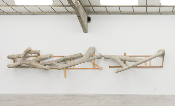 Leyla Aydoslu, 2019 XIX, 2019