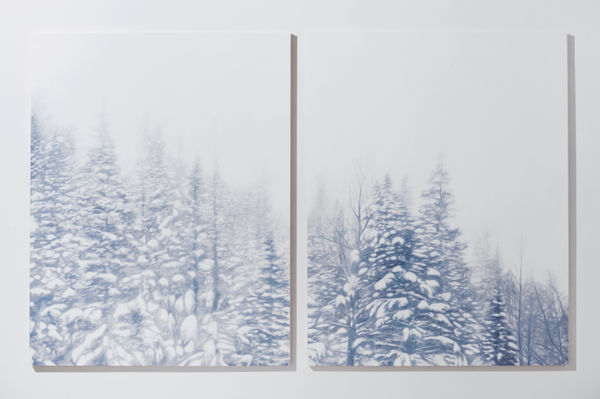 Rebecca Partridge, Forest Blizzard Day, 2015