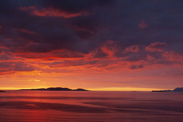 DOROTHY CROSS, Red Horizon, 2014