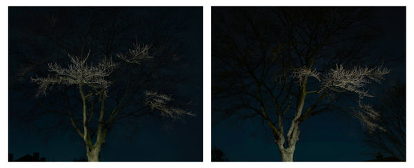 JOHN RIDDY, London (Herne Hill 1 and 2), 2017