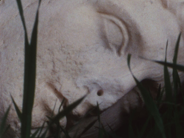 TACITA DEAN, Pan Amicus, 2021