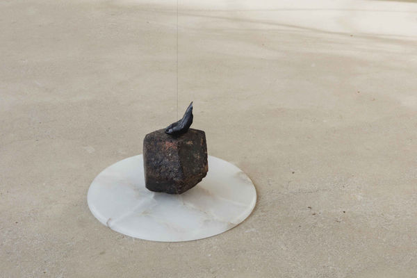 DOROTHY CROSS, Tread Lightly, 2017