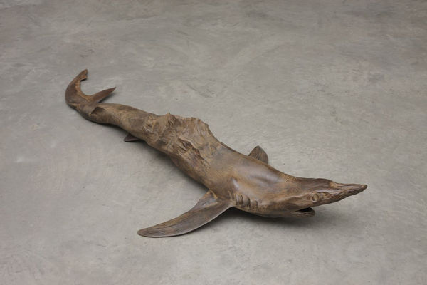 DOROTHY CROSS, Everest Shark, 2013