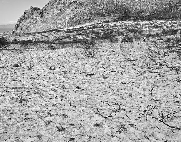 JOHN RIDDY Peninsula (Silvermine 1), 2015 Archival pigment print 18 x 23 cm 7.1 x 9.1 in Edition of 5 plus 1 AP