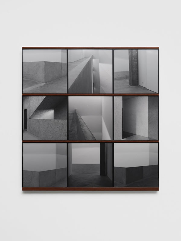 DAYANITA SINGH, Light did not Know, 2024