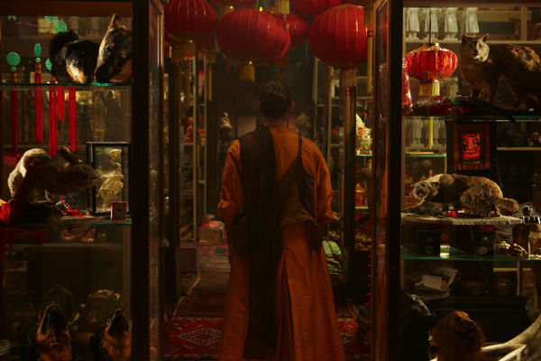 FIONA TAN, Disorient, 2009