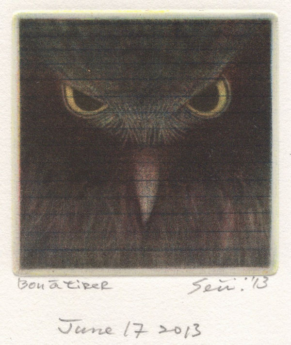 Seiichi Hiroshima, Owl Un, 2013