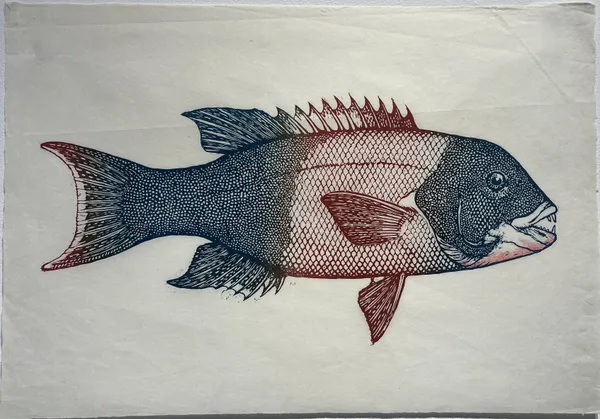 Tom Prochaska, Sheephead, 1985 ca.