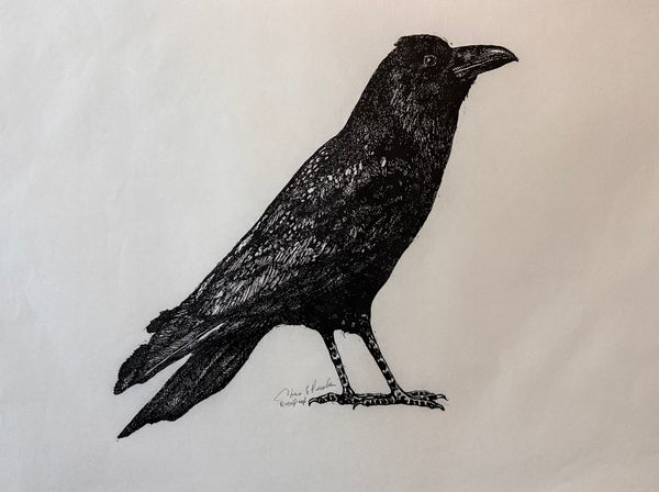 Tom Prochaska, The Raven, 1985/2025