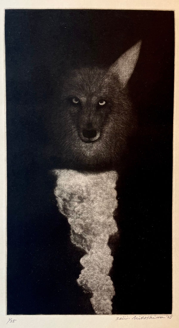 Seiichi Hiroshima, Coyote for Bartow, 2025