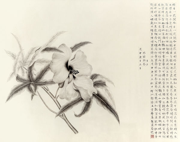 Zhang Yirong, Hollyhock, 2012