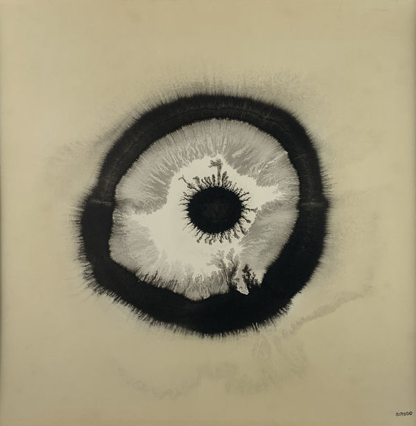 Sal Sirugo, E-81, 1973