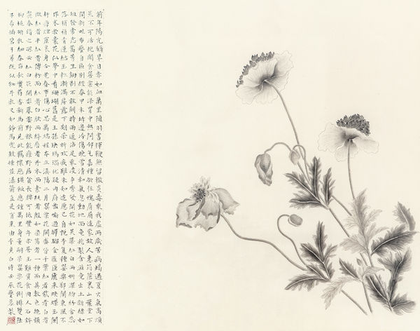 Zhang Yirong, Poppies, 2012