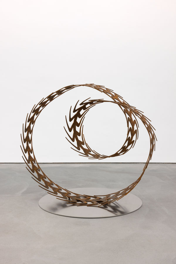 Amalie Jakobsen, Trilobite, 2023