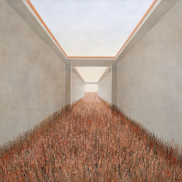 Roman Kakoyan, Koridor N4 / Corridor N4, 2023