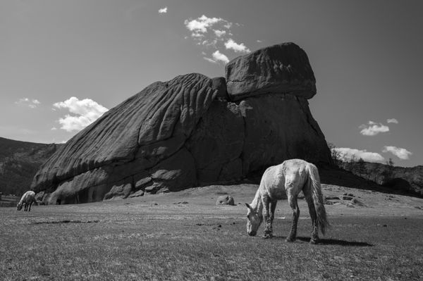 Erhan Coral, Taşın Altındaki Sessizlik / Stillness Beneath the Stone [Ed.3 + 1 AP], 2025
