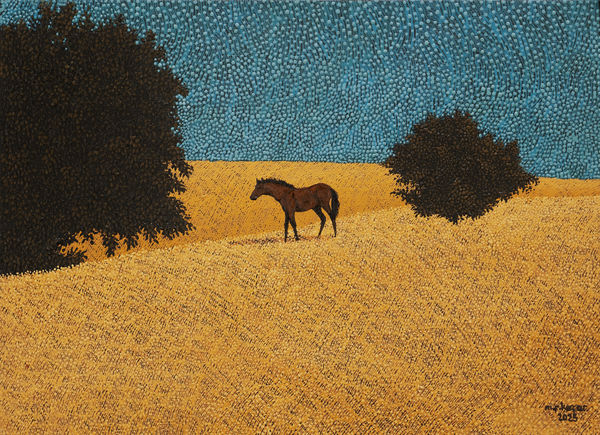 Mehmet Resul Kaçar, Tay / Foal, 2025