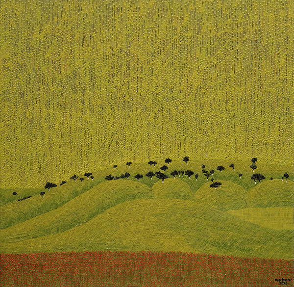 Mehmet Resul Kaçar, Gelincik / Poppy Flower, 2025