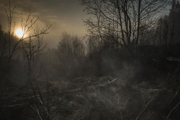 Todd Hido, 11798-4172, 2017.