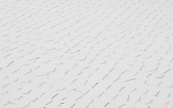 Txema Yeste, Needles, 2019-24.