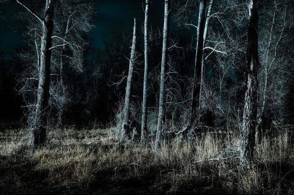 Todd Hido, 12187-295, 2024.