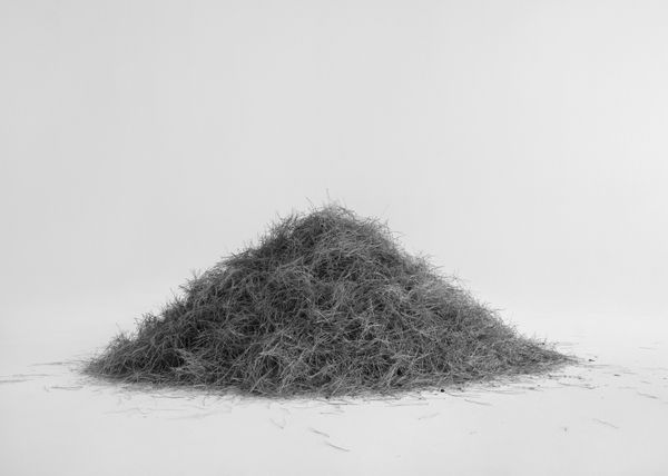 Txema Yeste - Needles, 2019-24.