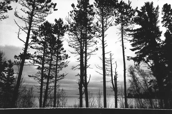 Jessica Lange, Minnesota, from the series, "Highway 61", 2011-18.