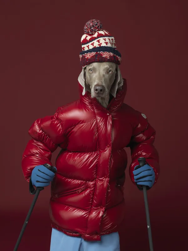 William Wegman, Ski Patrol, 2017.