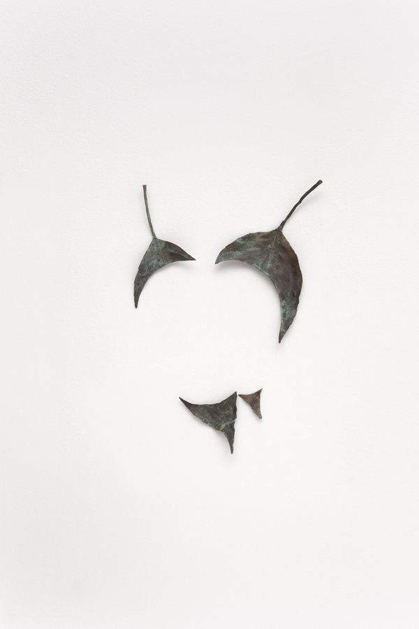 Vanderlei Lopes, EEDDM V [El Encuentro de Dos Mundos], 2013