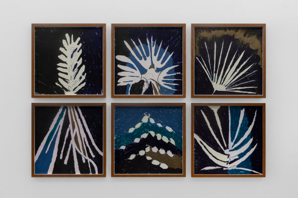 Raquel Versieux, Frutífera vocifera #6, 2025 - 2026