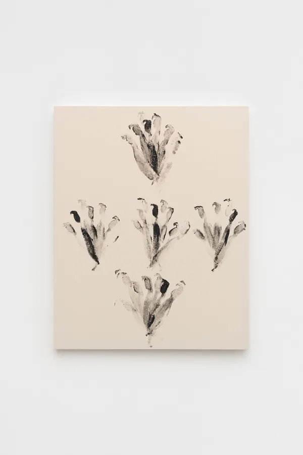 Bruno Baptistelli, Sem título [Untitled] (Op. 5), 2026