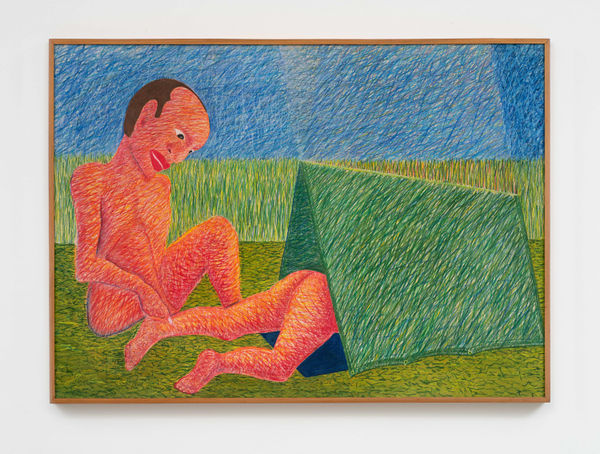 Cildo Meireles, Sem título, 1982