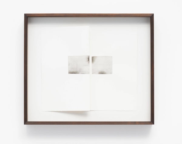 Eduardo Basualdo, Piel (de la serie puertas), 2013