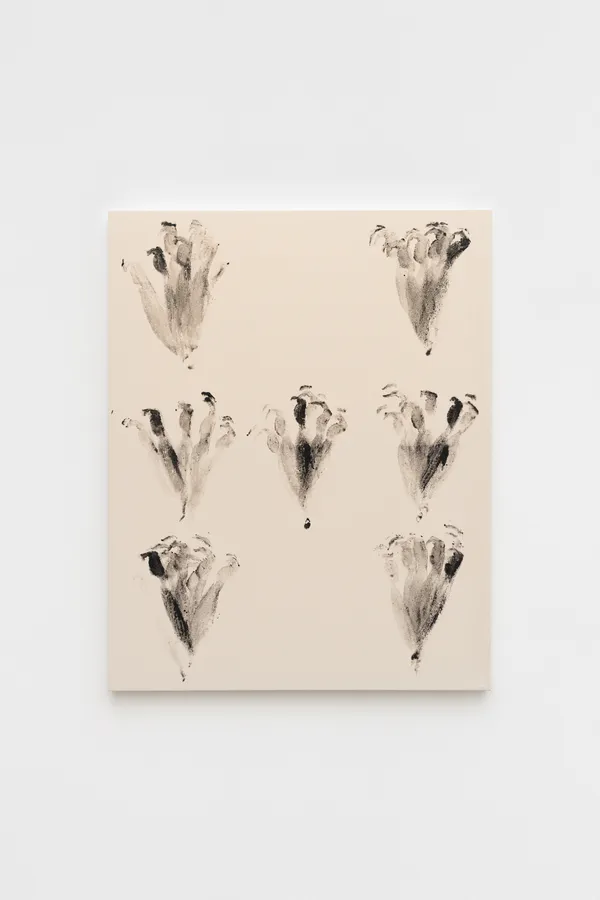 Bruno Baptistelli, Sem título [Untitled] (Op. 4), 2026