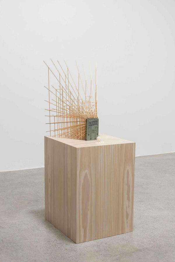 Jorge Macchi, Historia natural, 2016