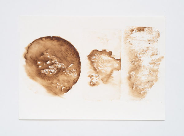 Fernanda Gomes, sem título [untitled], sem data