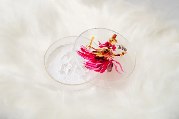 Panmela Castro Pozinho do pedido, série Residência [Order powder, from Residence series], 2021 pote de vidro com talco, pintura em vitral de orixá Iansã [orixá Iansã painted on glass container, baby powder] 4 x ø 6 cm 1 5/8 x 2 3/8 in Edition of 6