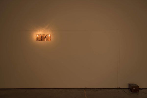 Eduardo Basualdo, Velocidad Absoluta, 2010